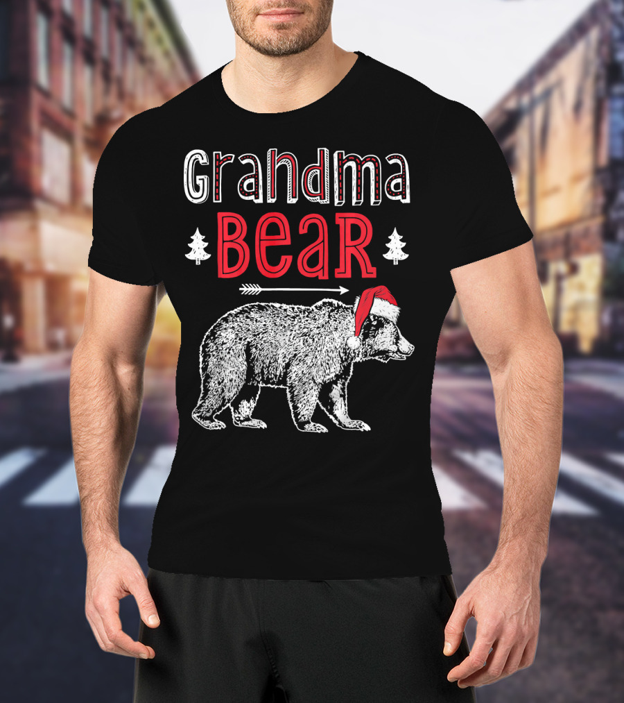 Grandma Bear Christmas Santa Hat Family Holiday Winter T-Shirt
