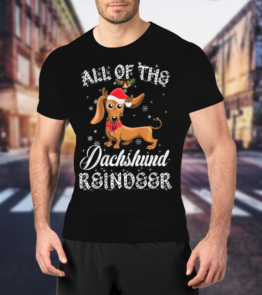 All Of The Dachshund Reindeer Santa Hat Snowflakes T-Shirt