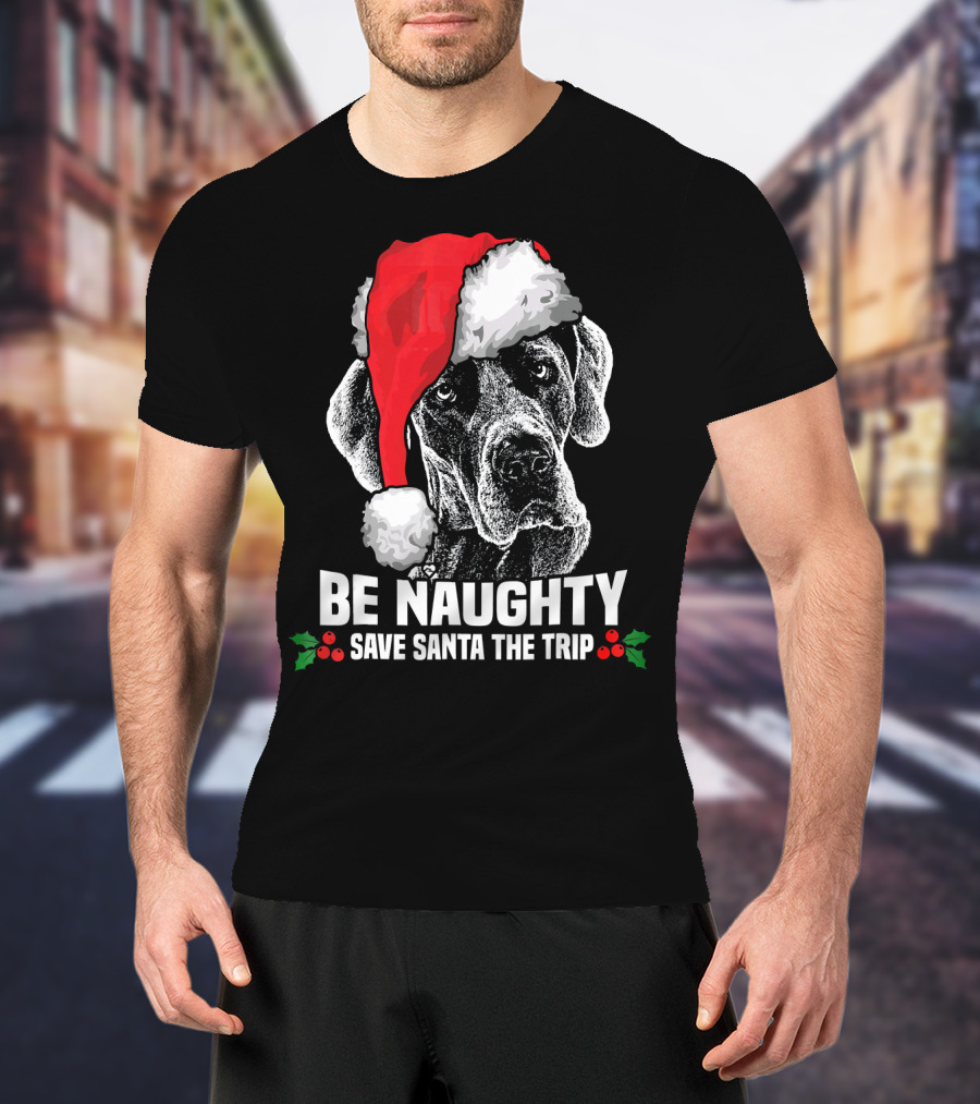 Be Naughty Save Santa The Trip Great Dane Santa Hat T-Shirt