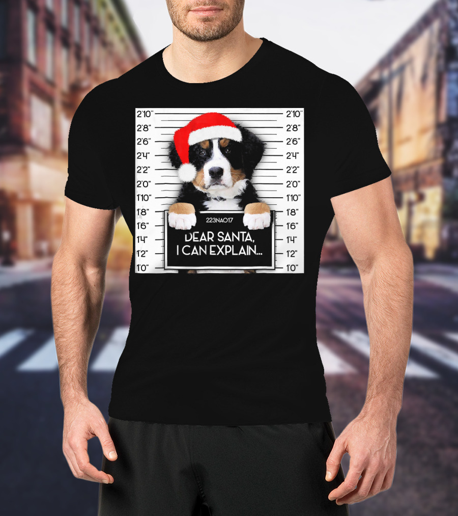 Xmas Bernese Mountain Dog Lover Santa Hat Dear Santa I Can Explain T-Shirt