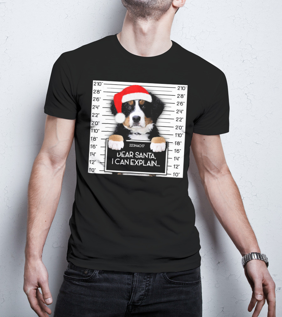 Xmas Bernese Mountain Dog Lover Santa Hat Dear Santa I Can Explain T-Shirt