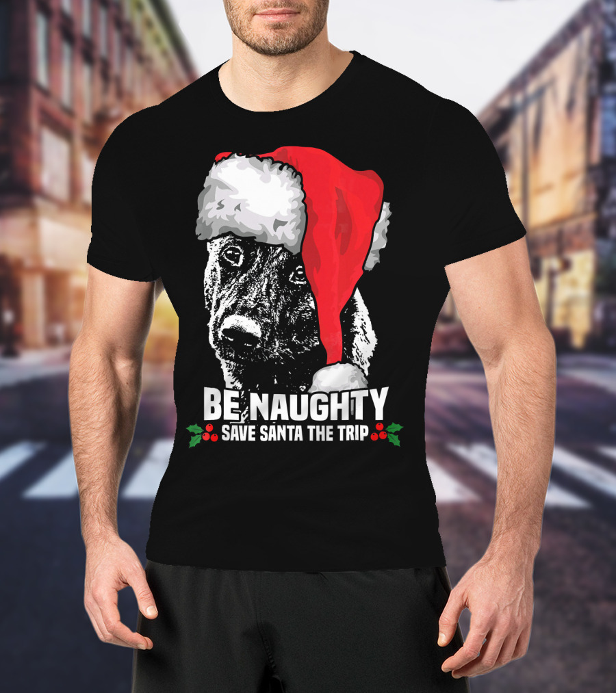 Be Naughty Save Santa The Trip Dutch Shepherd Christmas Santa Hat T-Shirt
