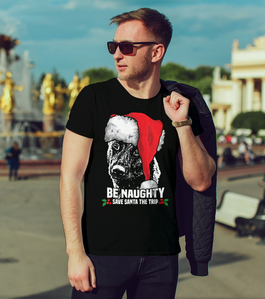 Be Naughty Save Santa The Trip Dutch Shepherd Christmas Santa Hat T-Shirt