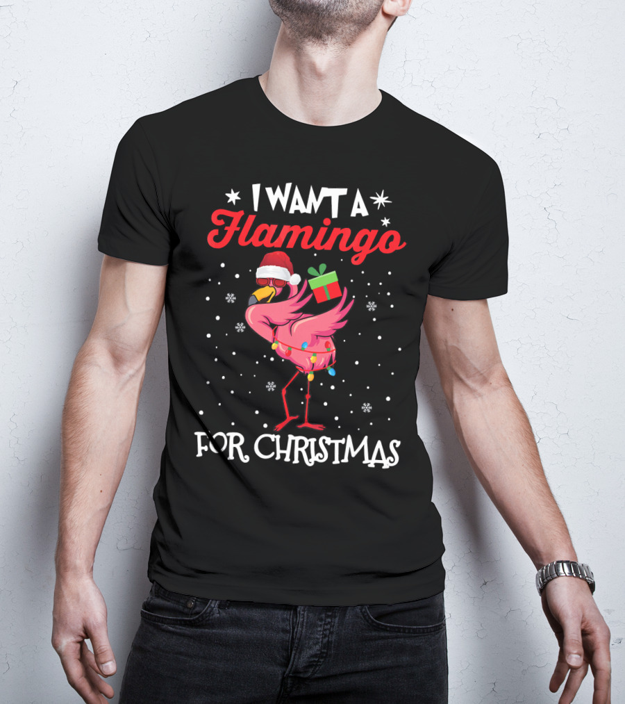 I Want A Flamingo For Christmas Santa Hat Lights Snowflakes Gift Box T-Shirt