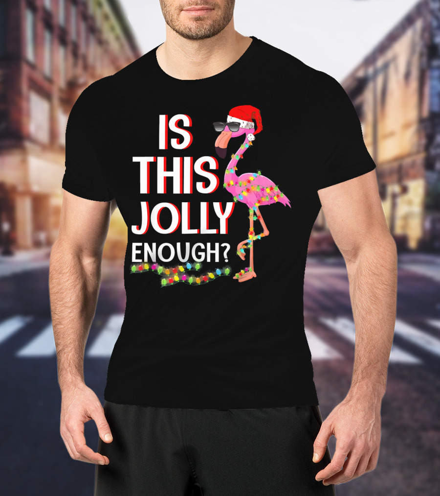 Is This Jolly Enough Flamingo Christmas Lights Santa Hat Sunglasses T-Shirt