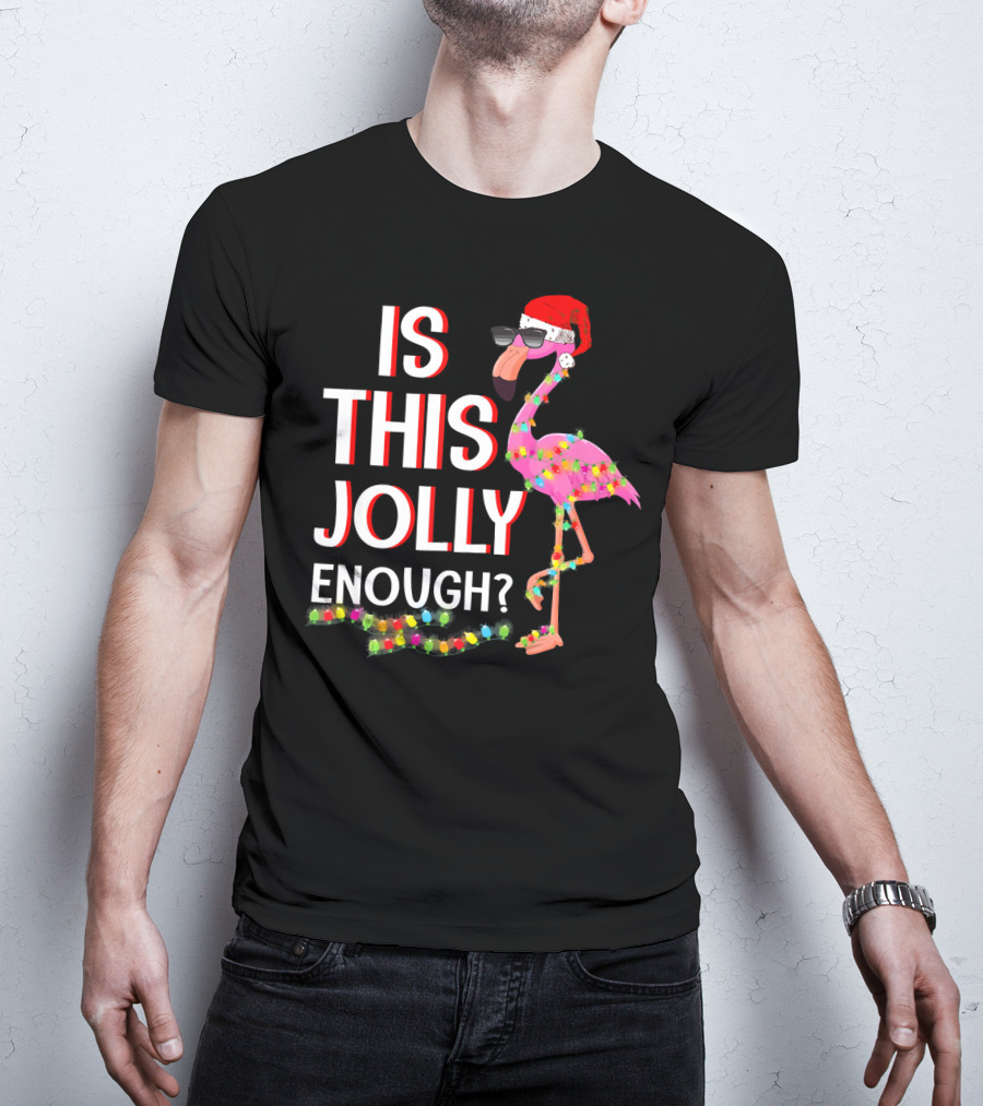 Is This Jolly Enough Flamingo Christmas Lights Santa Hat Sunglasses T-Shirt