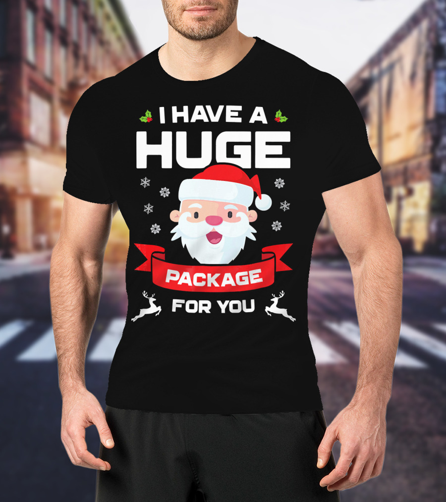 I Have A Huge Package For You Santa Snowflakes Reindeer Christmas T-Shirt