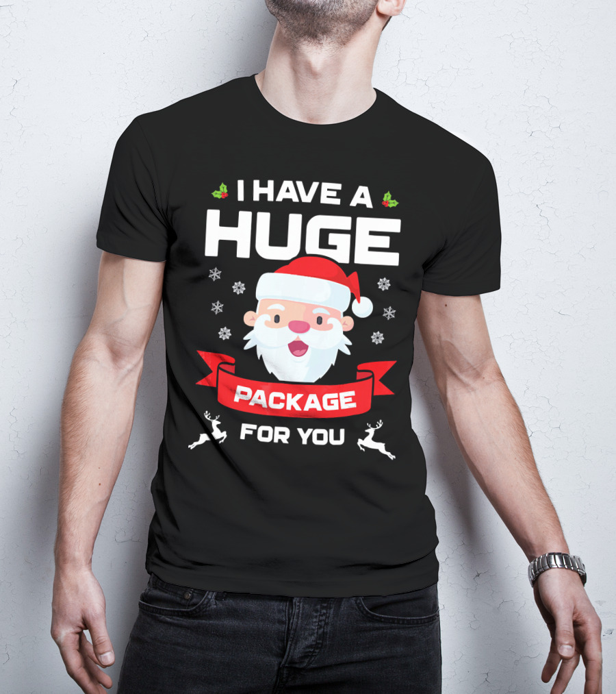I Have A Huge Package For You Santa Snowflakes Reindeer Christmas T-Shirt