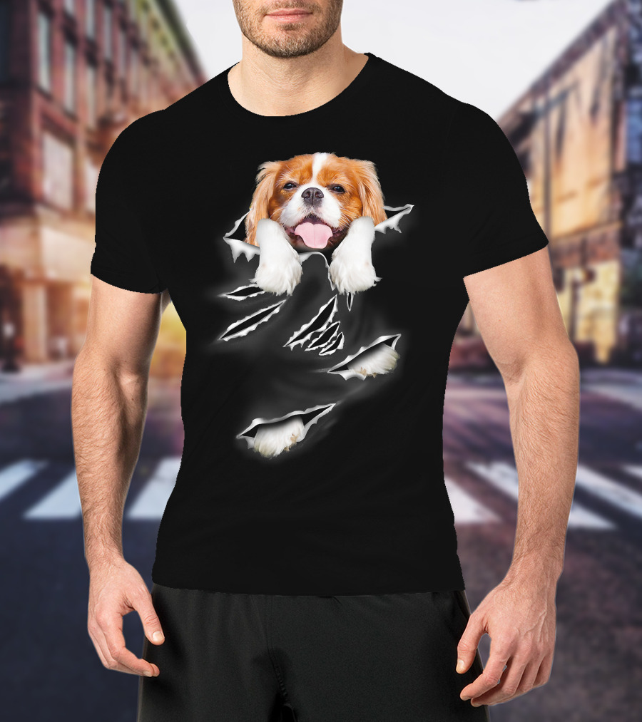 Cavalier King Charles Spaniel Scratch Torn Paws And Face Peeking Through T-Shirt