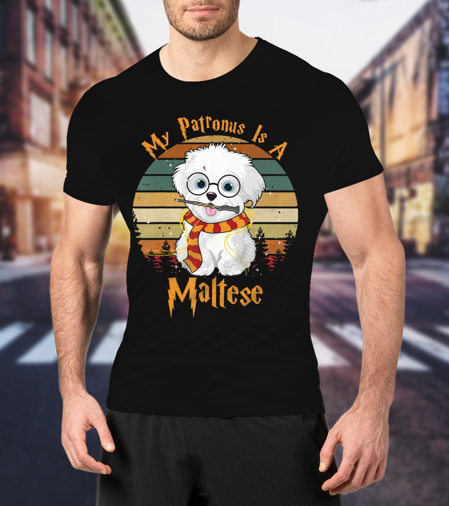My Patronus Is A Maltese Dog With Wizard Glasses And Scarf In Colorful Circle T-Shirt