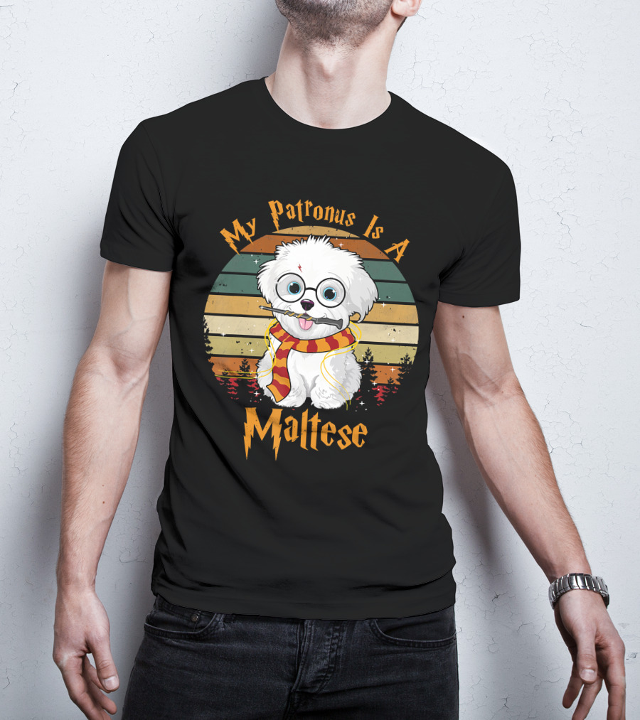 My Patronus Is A Maltese Dog With Wizard Glasses And Scarf In Colorful Circle T-Shirt